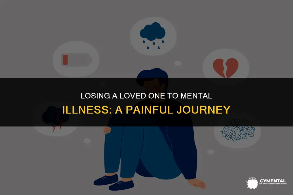 how do you lose someone to mental illness