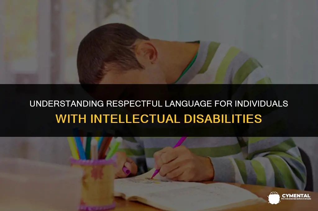 how do you refer to someone who is mentally handicapped