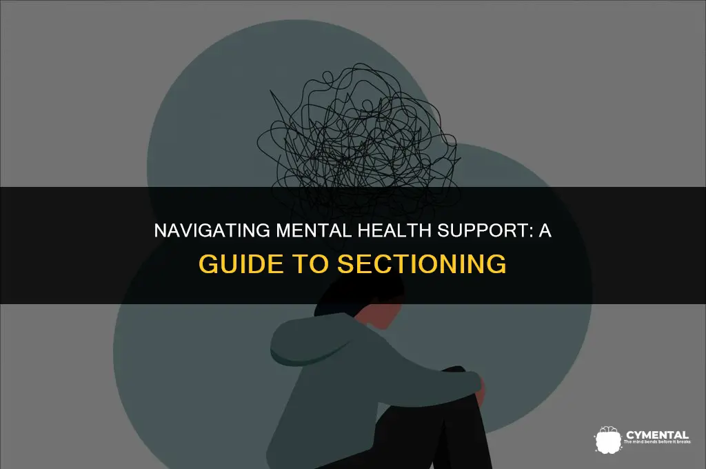 how do you section someone for mental health