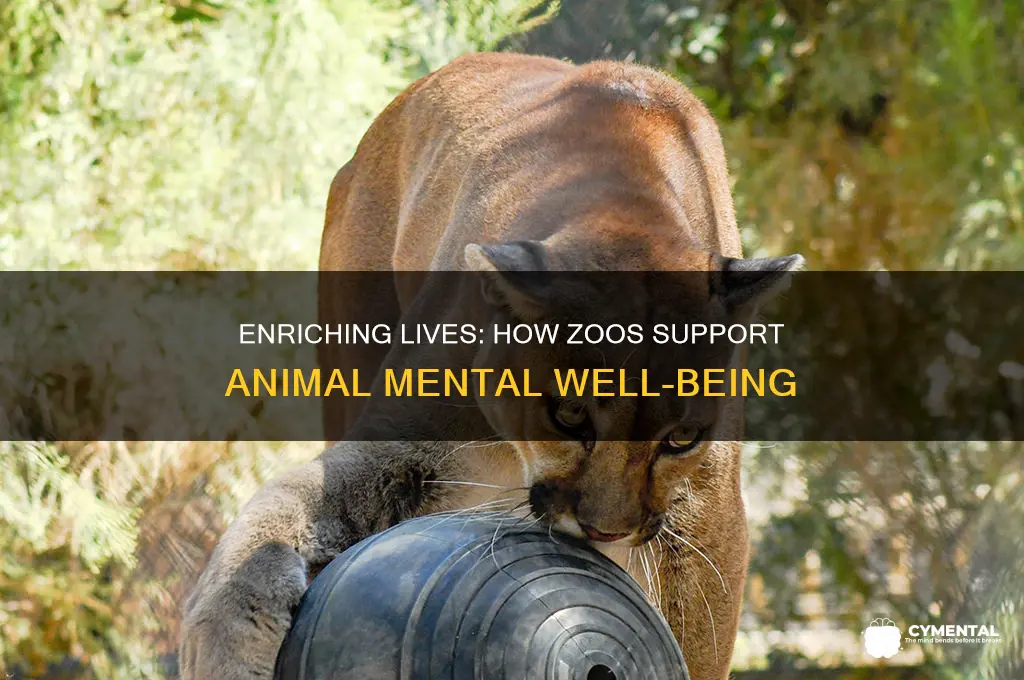 how do zoos help animals mental health