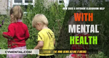 Outdoor Classrooms: Boosting Mental Health Through Nature-Based Learning