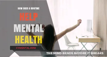 Daily Routines: Unlocking Mental Clarity and Emotional Stability