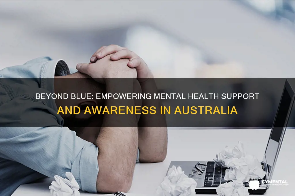 how does beyond blue help with mental health