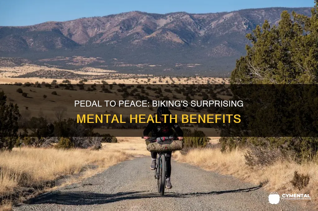 how does biking help your mental health