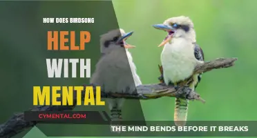 Birdsong's Soothing Melodies: Enhancing Mental Well-being and Reducing Stress