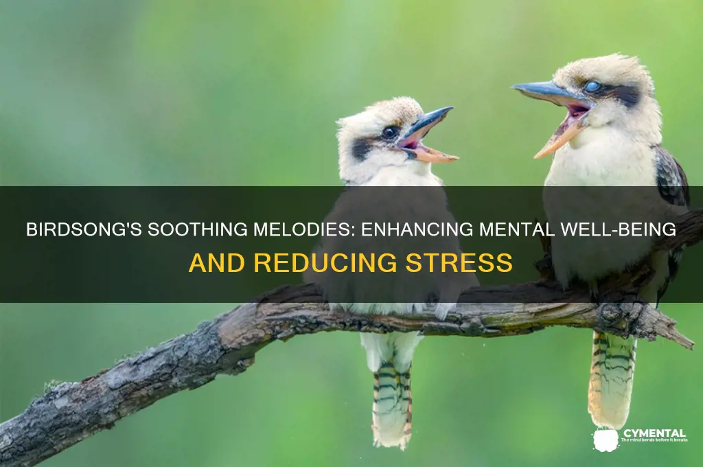 how does birdsong help with mental