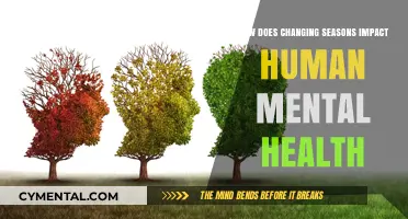 Seasonal Shifts: Unveiling the Impact on Human Mental Health