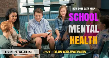 Data-Driven Insights: Enhancing School Mental Health Support Strategies