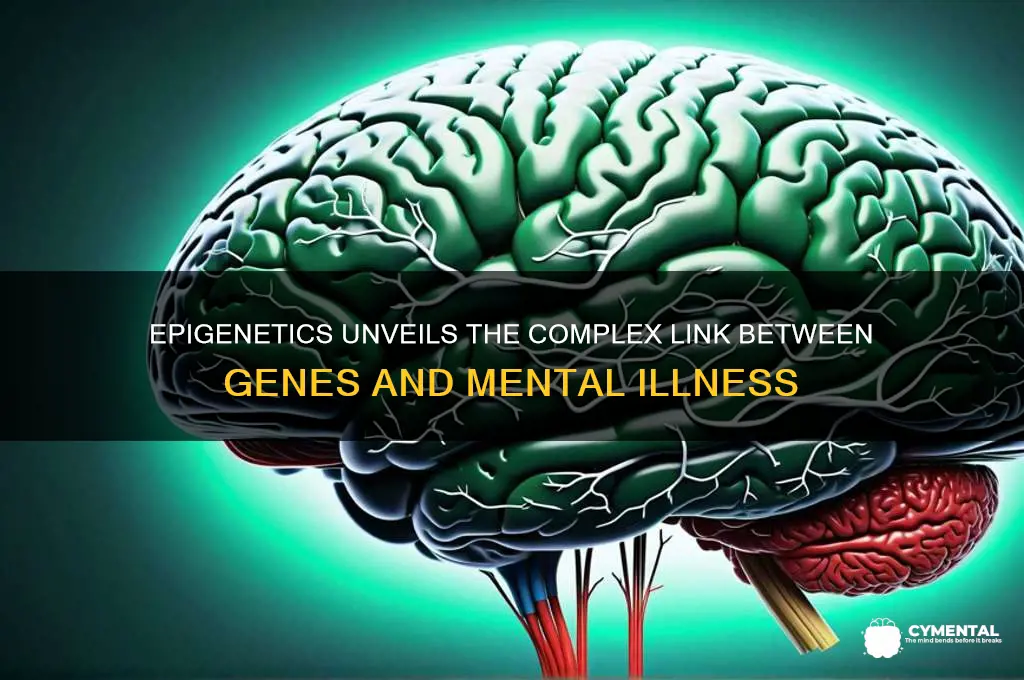 how does epigenetics help explain mental illness