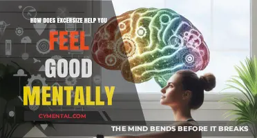 Boost Your Mood: The Mental Health Benefits of Exercise Explained