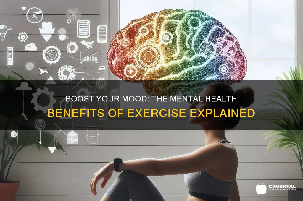 how does excersize help you feel good mentally