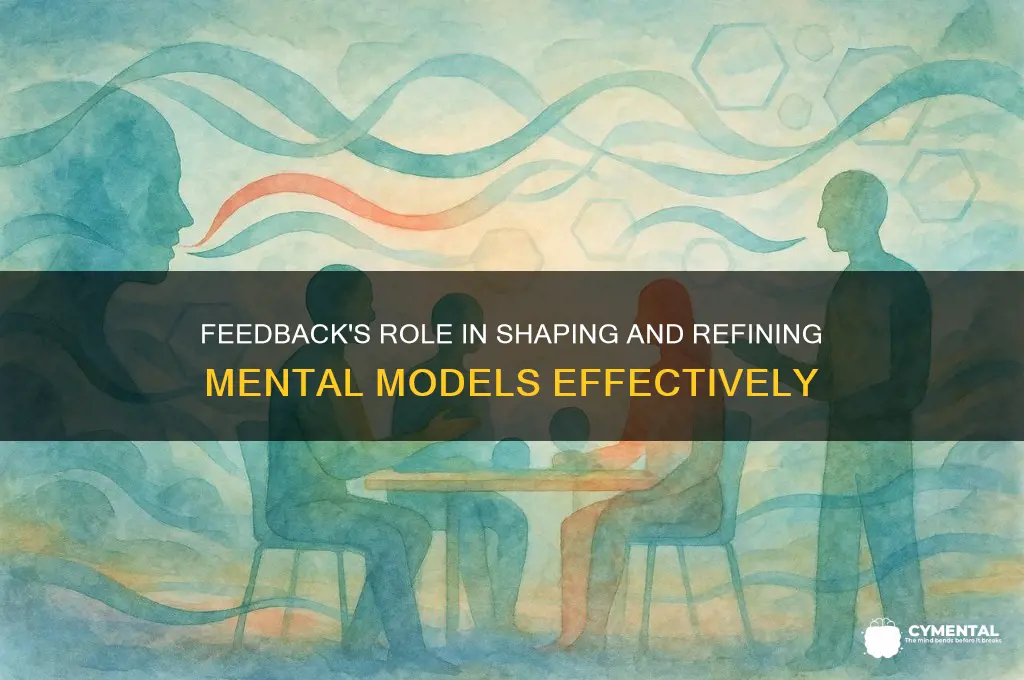 how does feedback help in developing mental model