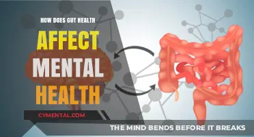 The Gut-Brain Connection: Unveiling the Impact of Gut Health on Mental Well-being