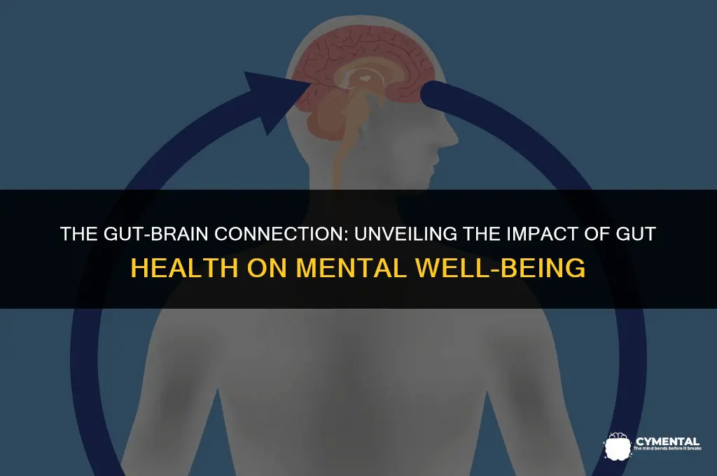 how does gut health affect mental health