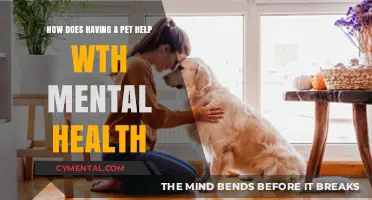 Pets and Mental Health: How Furry Friends Boost Well-Being