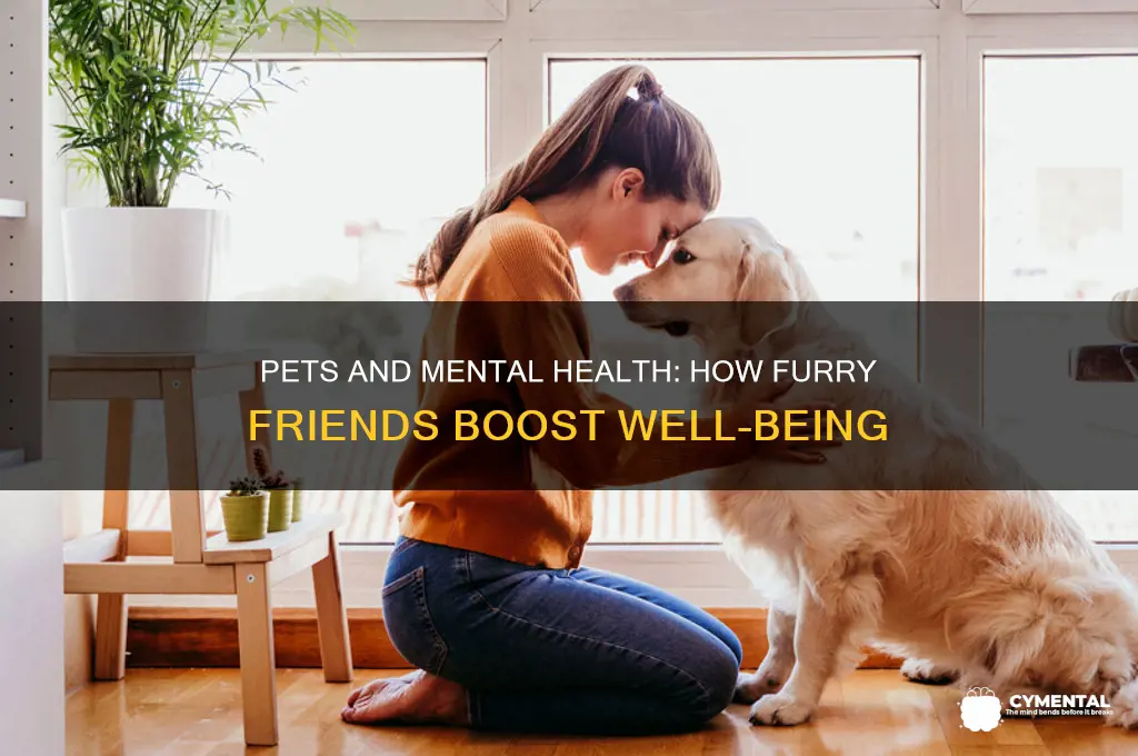 how does having a pet help wth mental health