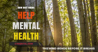 Hiking's Healing Power: Boosting Mental Health One Trail at a Time