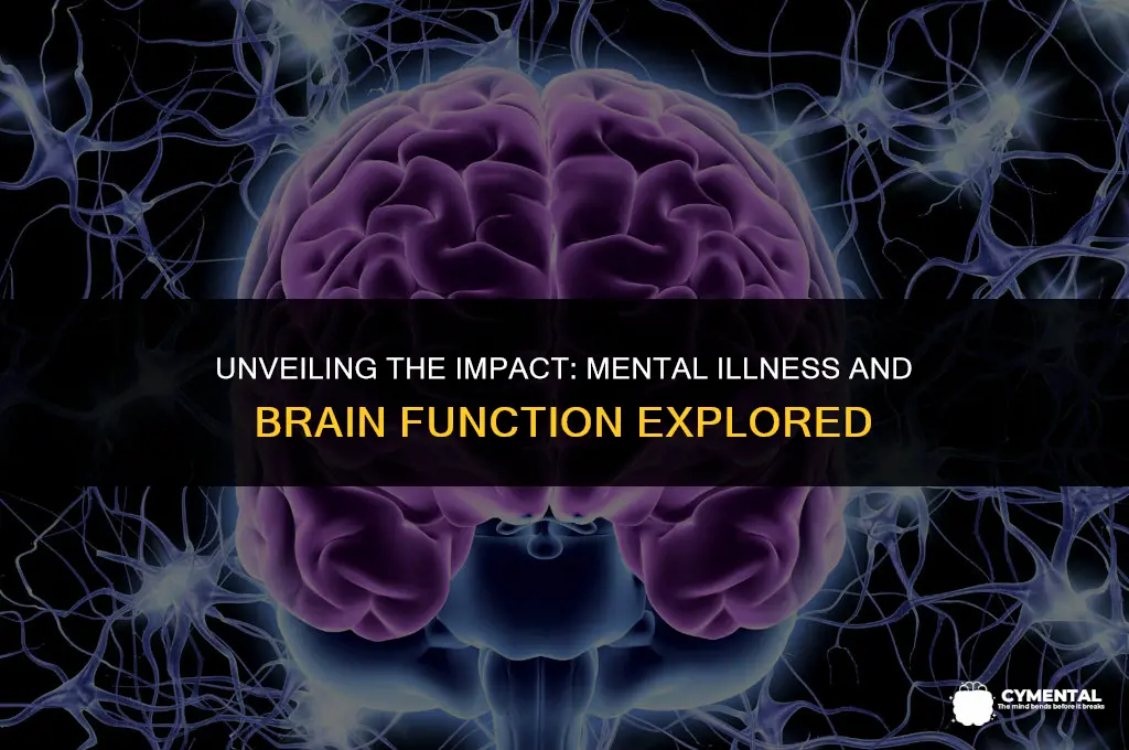 how does mental illness affect the brain