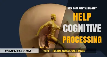 Enhancing Cognitive Processing: The Power of Mental Imagery Explained