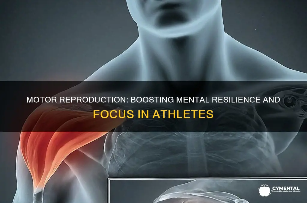how does motor reprodcution help an athlete mentally