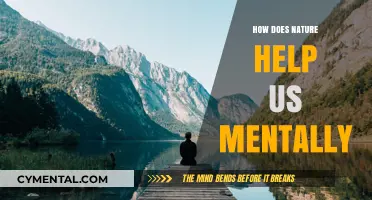 Nature's Healing Power: Boosting Mental Health and Inner Peace