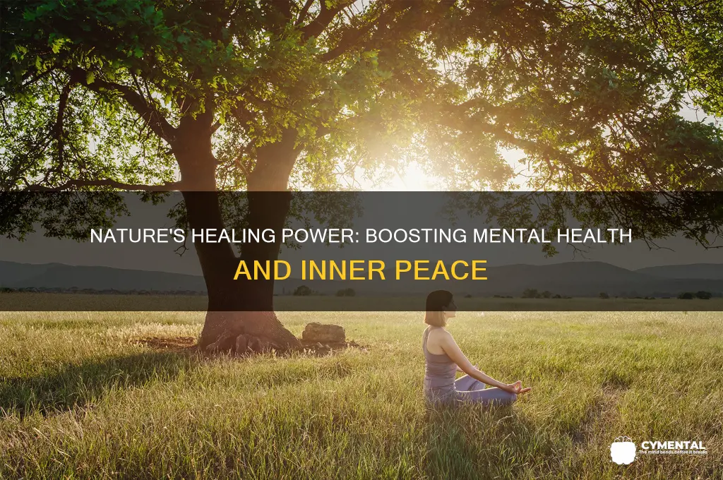 how does nature help us mentally