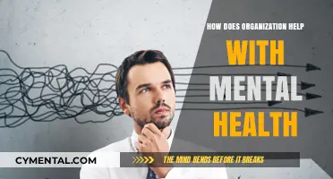 Organized Mind, Healthy Life: Boosting Mental Health Through Structure