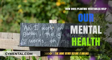 Planting Vegetables: Cultivating Mental Well-being Through Gardening
