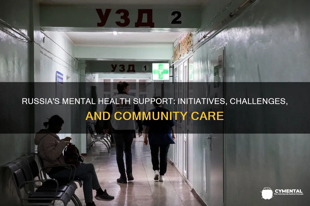 how does russia help the mentally ill