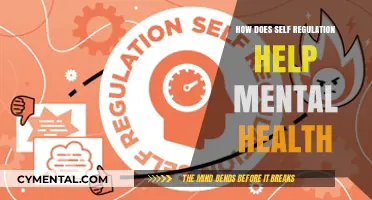 Mastering Self-Regulation: Empowering Mental Health and Emotional Resilience