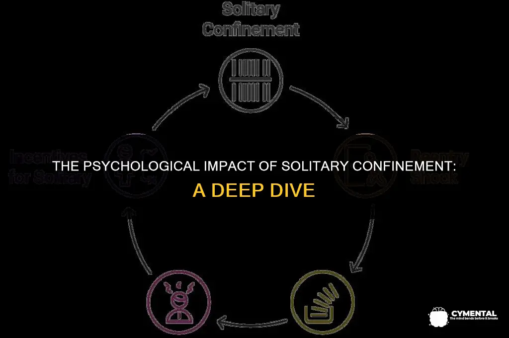 how does solitary confinement affect someone mentally