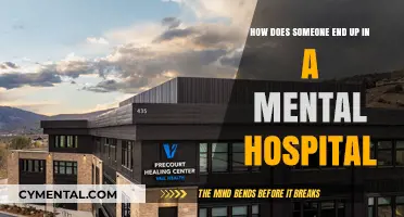 Unraveling the Journey: How Individuals Find Themselves in Mental Health Facilities