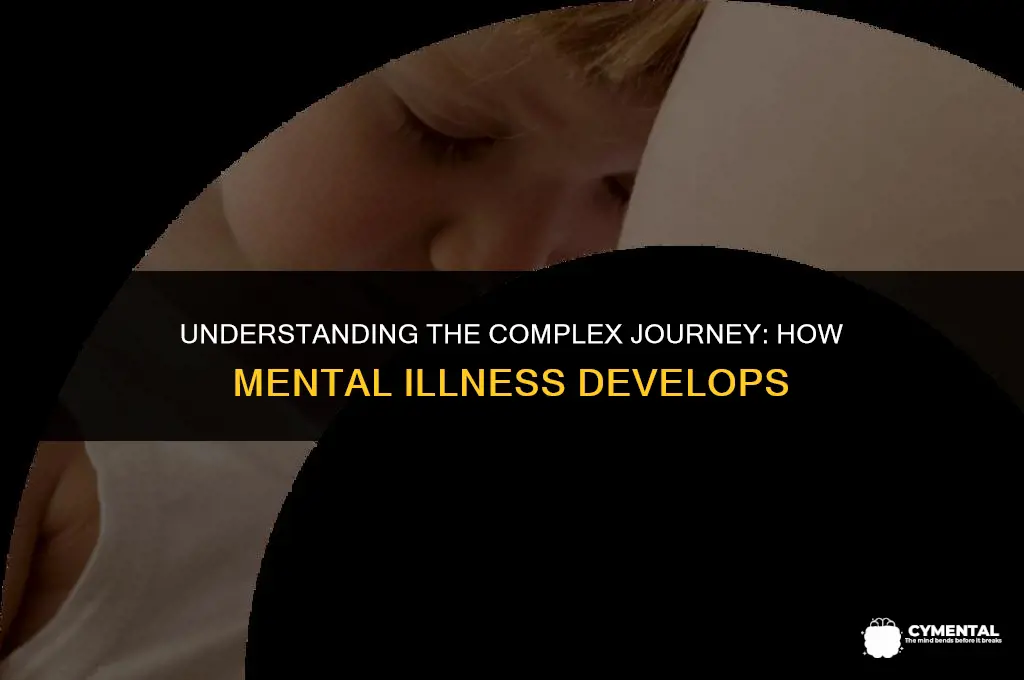 how does someone get a mental illness