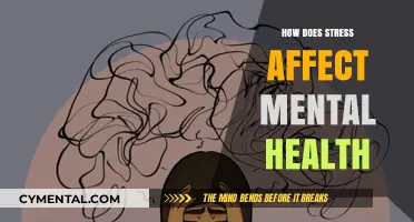 Unraveling the Impact: Stress and Its Effects on Mental Health