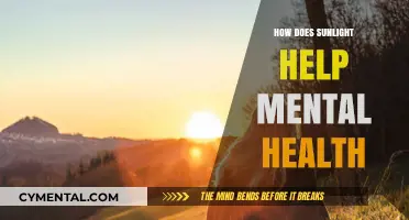 Sunlight's Power: Boosting Mood, Energy, and Mental Well-being Naturally