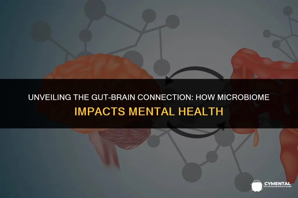 how does the gut microbiome affect mental health