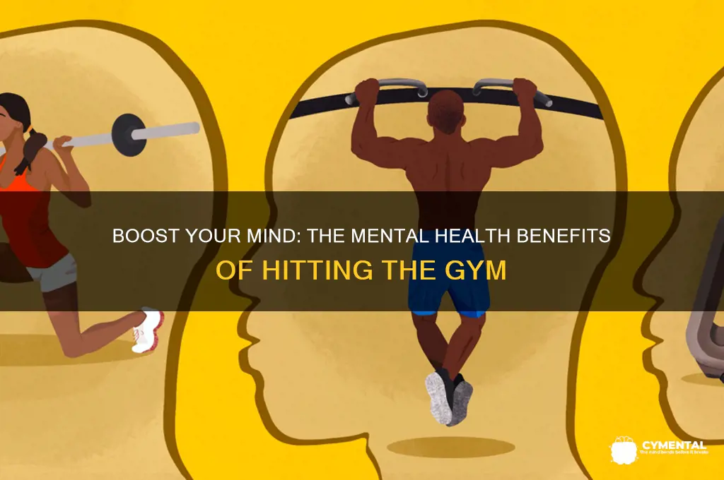 how does the gym help you mentally