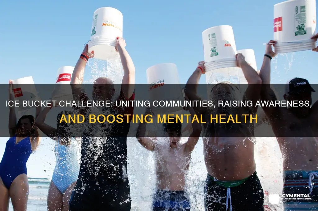 how does the ice bucket challenge help mental health