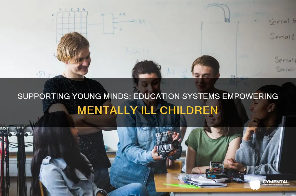 how education systems are helping mentally ill children