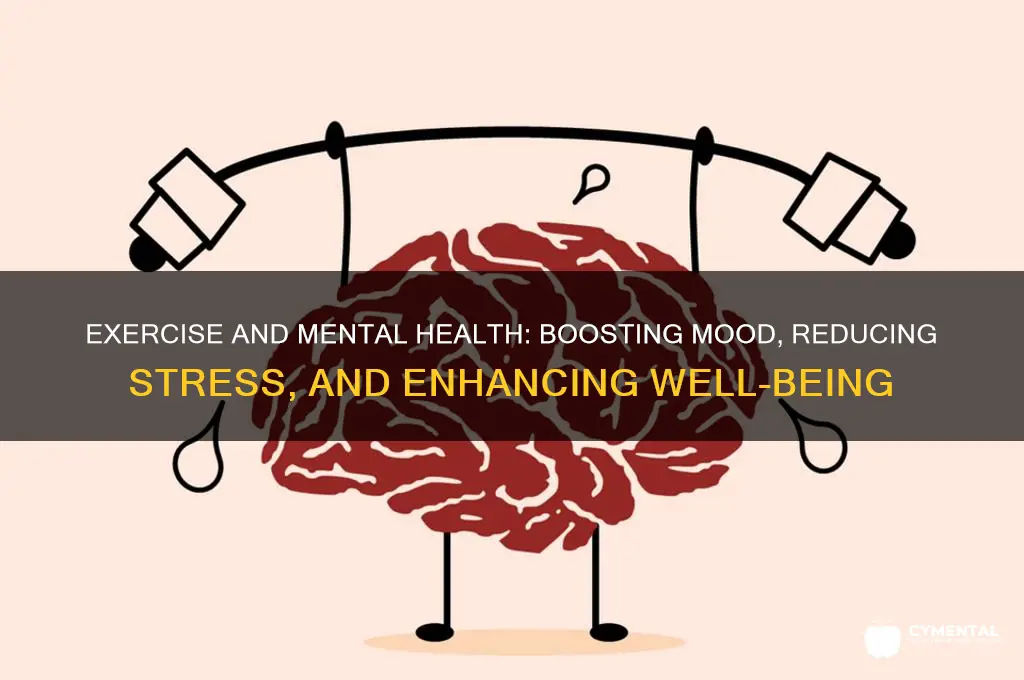 how excercise helps with mental health