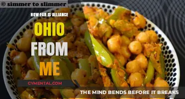 Discovering Alliance, Ohio: A Journey Through Distance and Culture