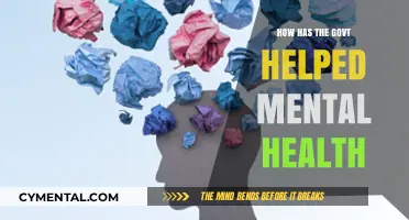 Government Initiatives Transforming Mental Health Support and Awareness Nationwide