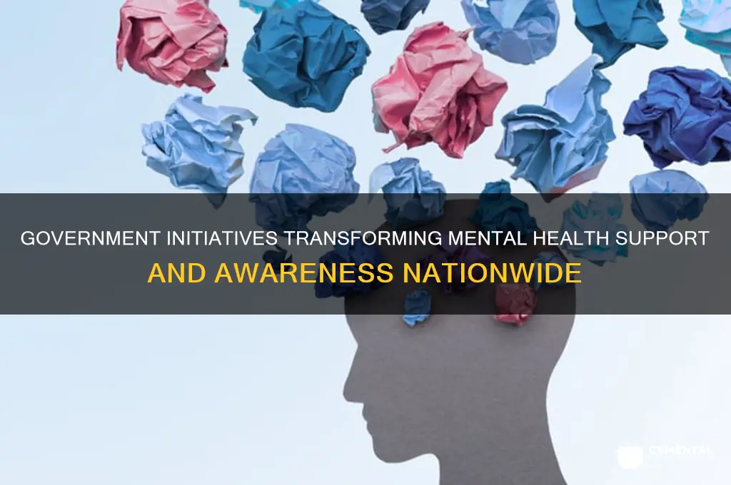 how has the govt helped mental health