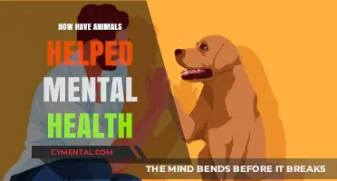 Animals as Healers: Their Role in Improving Mental Health