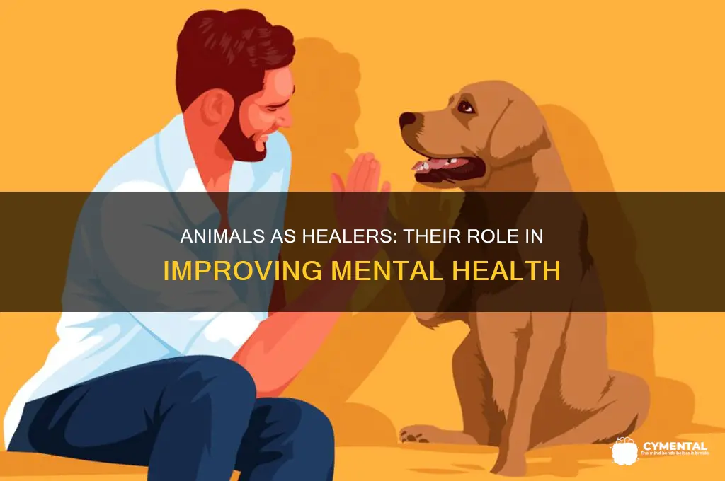 how have animals helped mental health