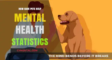Pets and Mental Health: Statistical Insights on Emotional Support