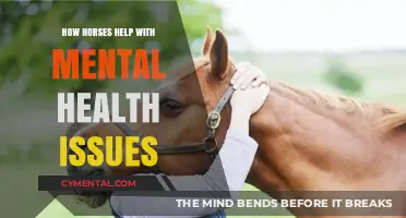 Healing Hooves: How Horses Transform Mental Health and Wellness