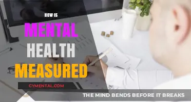 Exploring the Metrics: How Mental Health is Measured