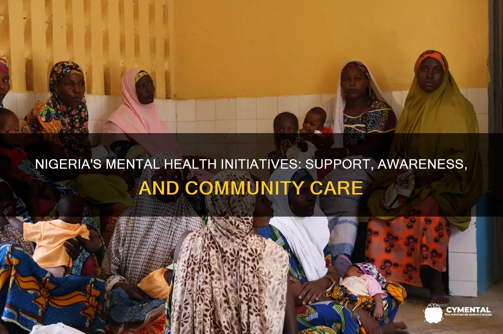 how is nigeria helping their mentally ill