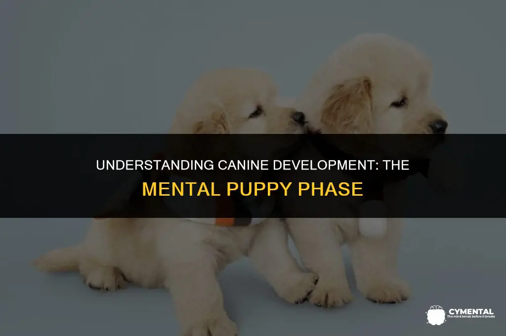 how long is a dog a puppy mentally